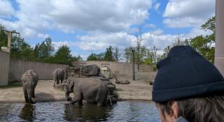 Hoe natuur tot stilte brengt