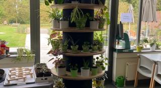 planten